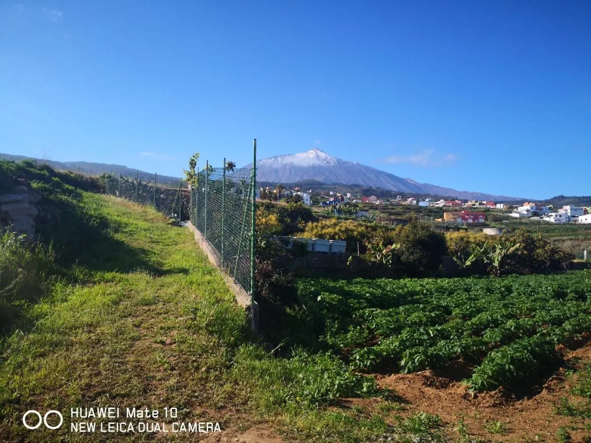Holiday home Finca Los Angeles San Juan de la Rambla